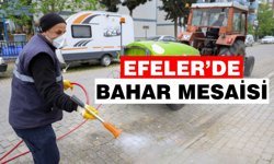 Efeler’de yabancı ot temizliği ve ilaçlama çalışmaları yaygınlaştı