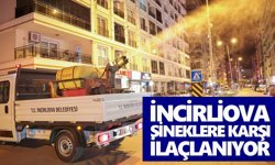 İncirliova sineklere karşı ilaçlanıyor