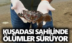 Kuşadası sahilinde ölümler sürüyor