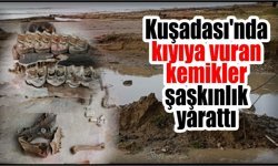 Kuşadası sahilinde şaşırtan keşif