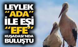 Leylek Ada ile eşi Efe Kuşadası’nda buluştu