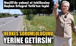 Nazilli’de 2 metrelik yabani otlar tehlike saçıyor