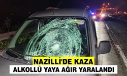 Nazilli'de kaza: Alkollü yaya ağır yaralandı