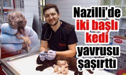 Nazilli'de şaşkınlık yaratan olay