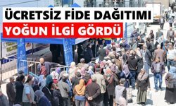 Sultanhisar ve Buharkent'te fide kuyruğu