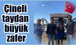Alpaslan, Nazilli hipodromunda zirveye koştu