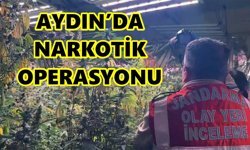 Aydın merkezli dev narkotik operasyonu: 30 ilde 122 tutuklama