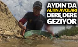 Aydın’da altın avcıları dere dere geziyor