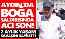 Aydın’da boğa saldırısında acı son! 2 aylık yaşam savaşını kaybetti