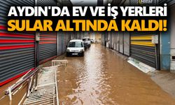 Aydın'da ev ve iş yerlerini su bastı!