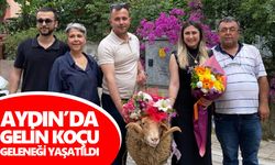 Aydın’da gelin koçu geleneği yaşatıldı