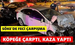Söke’de feci çarpışma: Köpeğe çarptı, kaza yaptı