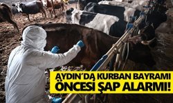 Aydın’da Kurban Bayramı öncesi şap alarmı!