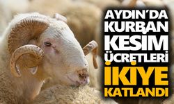 Aydın’da kurban kesim ücretleri ikiye katlandı