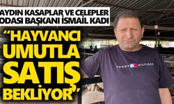 Aydın’da kurbanlıkta maliyetler arttı, et fiyatı yerinde saydı