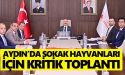 Aydın’da sokak hayvanları için kritik toplantı