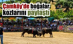 Binlerce güreşsever Çamköy’de buluştu