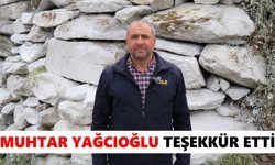 Bozdoğan Belediyesi Güney Mahallesi'ni kireçledi