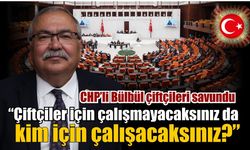CHP’li Bülbül’den DSİ ve TMO’ya eleştiri