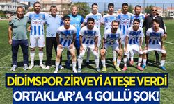 Didimspor zirveye ortak oldu! Ortaklar'a 4 gollü şok!