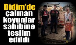 Didim’de küçükbaş hırsızlığına geçit yok
