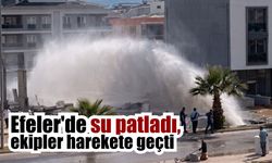 Efeler’de ekipler seferber oldu