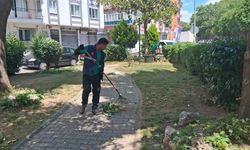 Efeler’de parklarda yaz mesaisi