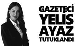 Gazeteci Yelis Ayaz tutuklandı