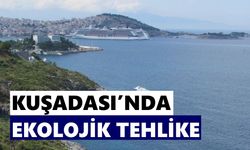 Kuşadası’nda doğa alarmı: Akdeniz Foklarının yaşam alanı beton tehdidi altında