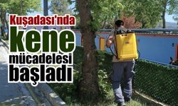 Kuşadası'nda kene için erken önlem alındı