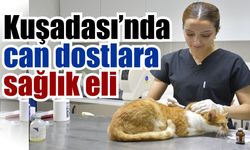 Kuşadası’nda patili dostlara ücretsiz sağlık desteği