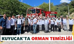 Kuyucak'ta orman temizliği