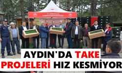 Kuyucak'ta üreticiye fide desteği