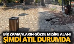 Mursallı’nın simgesi Şahin Tepesi kaderine terk edildi