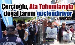Nazilli’de Ata Tohumlarıyla yerel üretim artıyor