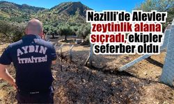 Nazilli’de zeytinlik arazide yangın