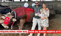 Nişanlısına hem koç, hem de dana hediye etti