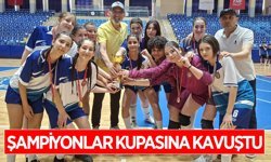 Aydın'da futsal şampiyonası sona erdi