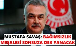 Milletvekili Savaş: Bağımsızlık meşalesi sonsuza dek yanacak