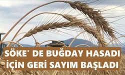 Söke’de buğday hasadı için geri sayım başladı