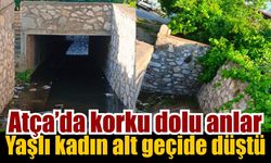 Sultanhisar’da talihsiz Olay: Yaşlı kadın ağır yaralandı
