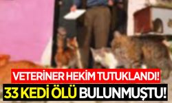 33 kedinin ölü bulunması soruşturmasında veteriner hekim tutuklandı