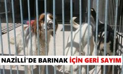 Nazilli'de barınak için geri sayım