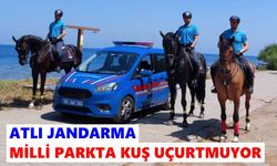 Atlı jandarma Milli Parkta kuş uçurtmuyor
