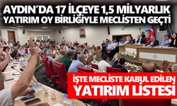 Aydın’da 17 ilçeye 1,5 milyarlık yatırım oy birliğiyle kabul edildi