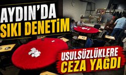 Aydın’da 5 ayda 750 iş yeri denetlendi, 16 adres mühürlendi