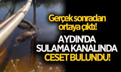 Aydın'da sulama kanalında ceset bulundu!