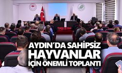 Aydın’da sahipsiz hayvanlar için önemli toplantı