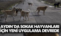 Aydın’da sokak hayvanları için yeni uygulama devrede
