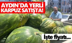 Aydın’da yerli karpuz satışta! İşte fiyatı
